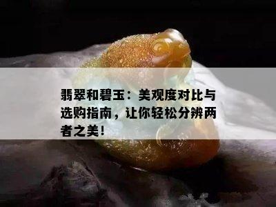 翡翠和碧玉：美观度对比与选购指南，让你轻松分辨两者之美！