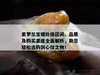 紫罗兰玉镯价格区间、品质及购买渠道全面解析，助您轻松选购到心仪之物！