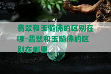 翡翠和玉髓佛的区别在哪-翡翠和玉髓佛的区别在哪里