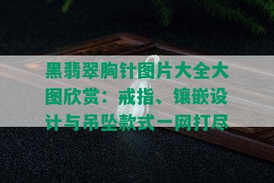 黑翡翠胸针图片大全大图欣赏：戒指、镶嵌设计与吊坠款式一网打尽