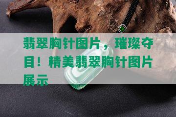 翡翠胸针图片，璀璨夺目！精美翡翠胸针图片展示