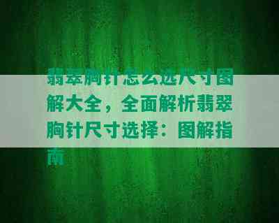 翡翠胸针怎么选尺寸图解大全，全面解析翡翠胸针尺寸选择：图解指南