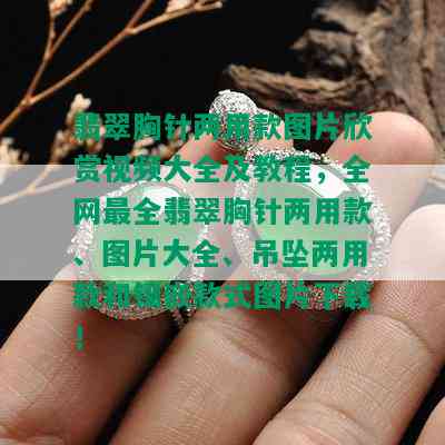 翡翠胸针两用款图片欣赏视频大全及教程，全网最全翡翠胸针两用款、图片大全、吊坠两用款和镶嵌款式图片下载！