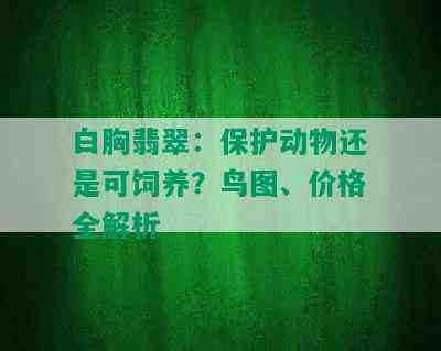 白胸翡翠：保护动物还是可饲养？鸟图、价格全解析