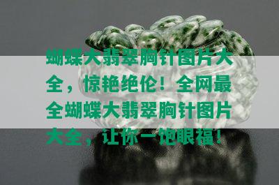 蝴蝶大翡翠胸针图片大全，惊艳绝伦！全网最全蝴蝶大翡翠胸针图片大全，让你一饱眼福！