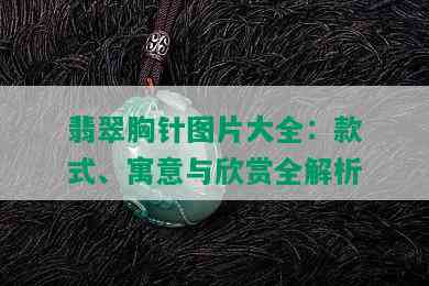 翡翠胸针图片大全：款式、寓意与欣赏全解析