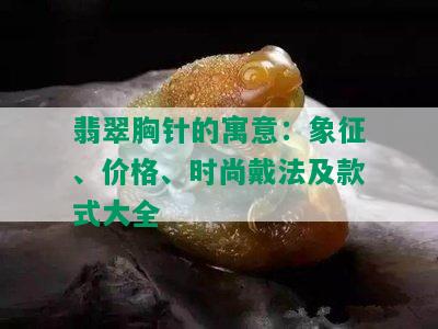 翡翠胸针的寓意：象征、价格、时尚戴法及款式大全