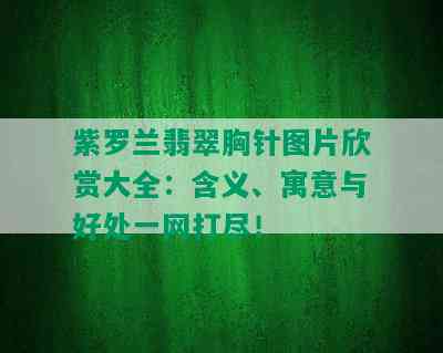 紫罗兰翡翠胸针图片欣赏大全：含义、寓意与好处一网打尽！