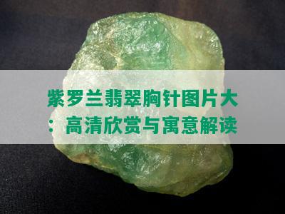 紫罗兰翡翠胸针图片大：高清欣赏与寓意解读