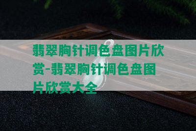 翡翠胸针调色盘图片欣赏-翡翠胸针调色盘图片欣赏大全