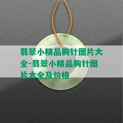 翡翠小精品胸针图片大全-翡翠小精品胸针图片大全及价格