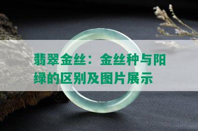 翡翠金丝：金丝种与阳绿的区别及图片展示