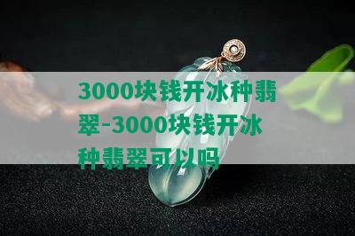 3000块钱开冰种翡翠-3000块钱开冰种翡翠可以吗