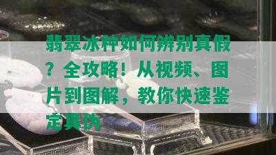 翡翠冰种如何辨别真假？全攻略！从视频、图片到图解，教你快速鉴定真伪