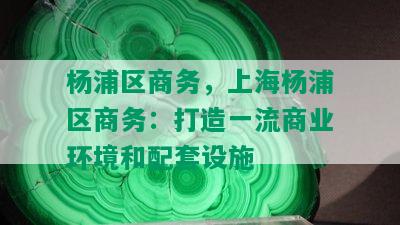 杨浦区商务，上海杨浦区商务：打造一流商业环境和配套设施