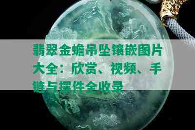 翡翠金蟾吊坠镶嵌图片大全：欣赏、视频、手链与摆件全收录