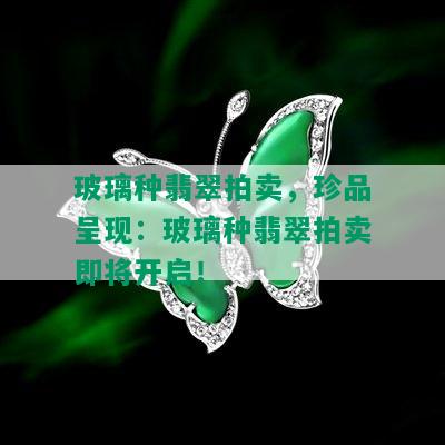 玻璃种翡翠拍卖，珍品呈现：玻璃种翡翠拍卖即将开启！