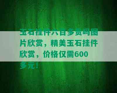 玉石挂件六百多贵吗图片欣赏，精美玉石挂件欣赏，价格仅需600多元！