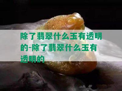 除了翡翠什么玉有透明的-除了翡翠什么玉有透明的