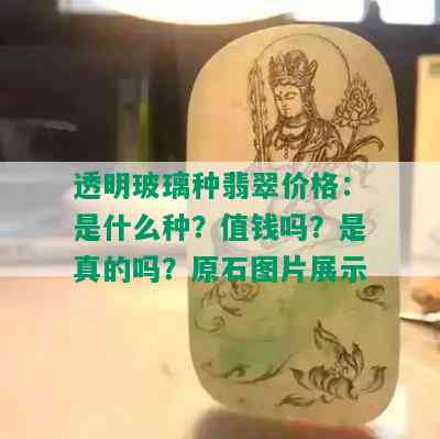 透明玻璃种翡翠价格：是什么种？值钱吗？是真的吗？原石图片展示