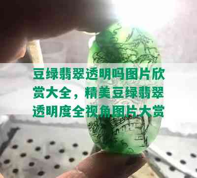 豆绿翡翠透明吗图片欣赏大全，精美豆绿翡翠透明度全视角图片大赏