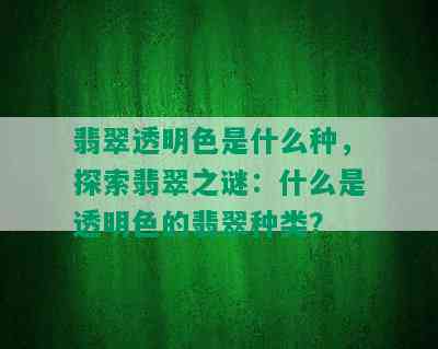 翡翠透明色是什么种，探索翡翠之谜：什么是透明色的翡翠种类？