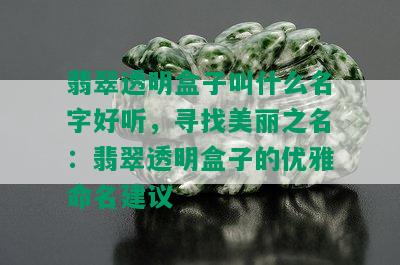 翡翠透明盒子叫什么名字好听，寻找美丽之名：翡翠透明盒子的优雅命名建议