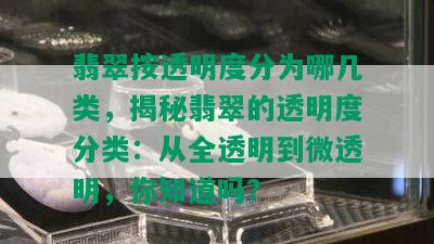 翡翠按透明度分为哪几类，揭秘翡翠的透明度分类：从全透明到微透明，你知道吗？