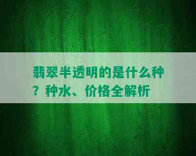 翡翠半透明的是什么种？种水、价格全解析