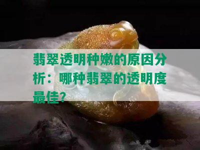 翡翠透明种嫩的原因分析：哪种翡翠的透明度更佳？