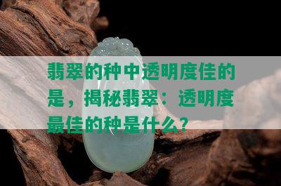 翡翠的种中透明度佳的是，揭秘翡翠：透明度更佳的种是什么？