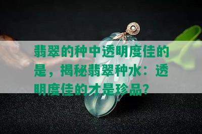 翡翠的种中透明度佳的是，揭秘翡翠种水：透明度佳的才是珍品？