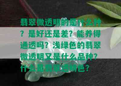 翡翠微透明的是什么种？是好还是差？能养得通透吗？浅绿色的翡翠微透明又是什么品种？什么是翡翠透明色？