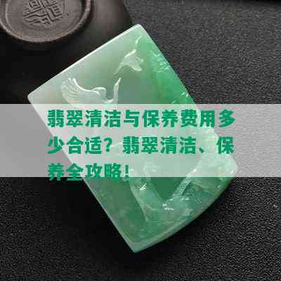 翡翠清洁与保养费用多少合适？翡翠清洁、保养全攻略！