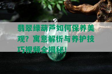 翡翠绿葫芦如何保养美观？寓意解析与养护技巧视频全揭秘！