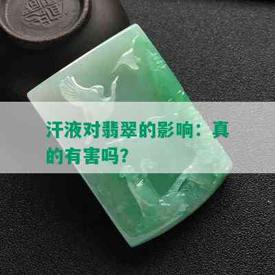 汗液对翡翠的影响：真的有害吗？