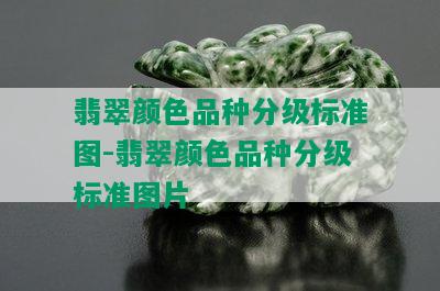 翡翠颜色品种分级标准图-翡翠颜色品种分级标准图片