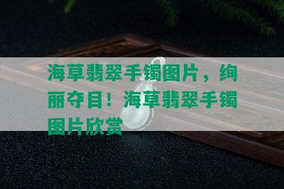 海草翡翠手镯图片，绚丽夺目！海草翡翠手镯图片欣赏