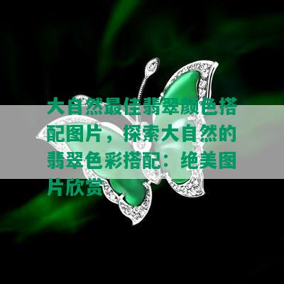 大自然更佳翡翠颜色搭配图片，探索大自然的翡翠色彩搭配：绝美图片欣赏