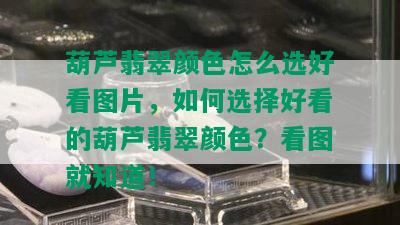 葫芦翡翠颜色怎么选好看图片，如何选择好看的葫芦翡翠颜色？看图就知道！