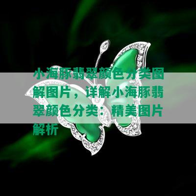 小海豚翡翠颜色分类图解图片，详解小海豚翡翠颜色分类：精美图片解析