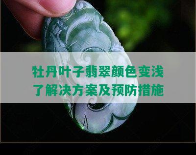 牡丹叶子翡翠颜色变浅了解决方案及预防措施