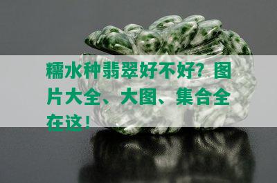 糯水种翡翠好不好？图片大全、大图、集合全在这！