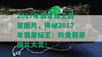 2017年翡翠标王翡翠图片，揭秘2017年翡翠标王：珍贵翡翠图片大赏！