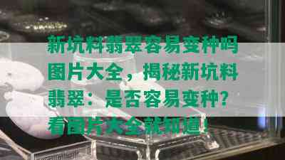 新坑料翡翠容易变种吗图片大全，揭秘新坑料翡翠：是否容易变种？看图片大全就知道！