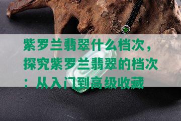 紫罗兰翡翠什么档次，探究紫罗兰翡翠的档次：从入门到高级收藏