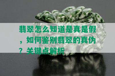 翡翠怎么知道是真是假，如何鉴别翡翠的真伪？关键点解析