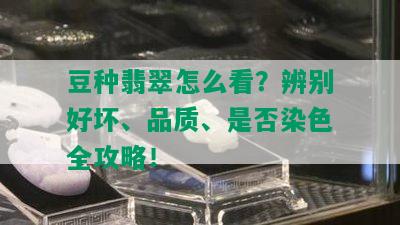 豆种翡翠怎么看？辨别好坏、品质、是否染色全攻略！