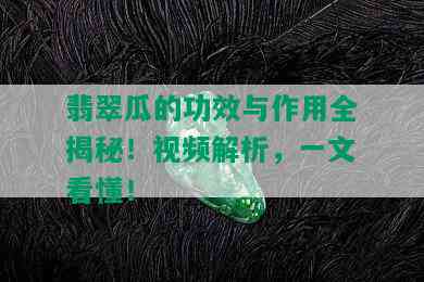 翡翠瓜的功效与作用全揭秘！视频解析，一文看懂！