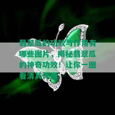 翡翠瓜的功效与作用有哪些图片，揭秘翡翠瓜的神奇功效！让你一图看清其作用